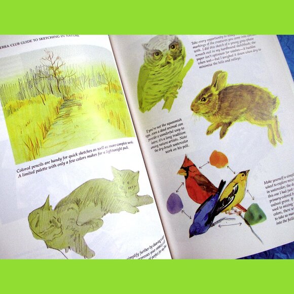 Book: The Sierra Club Guide to Sketching in Nature, by Cathy Johnson - Picture 3 of 16